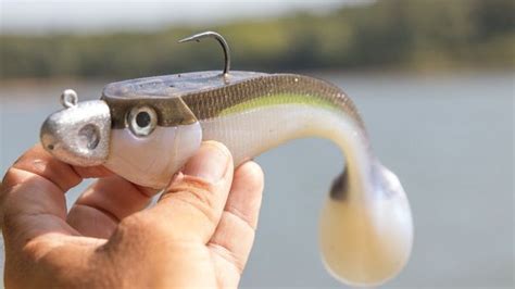 A new big-bodied, soft-plastic swimbait made to fish on exposed swimbait heads. | Fish, Bass ...