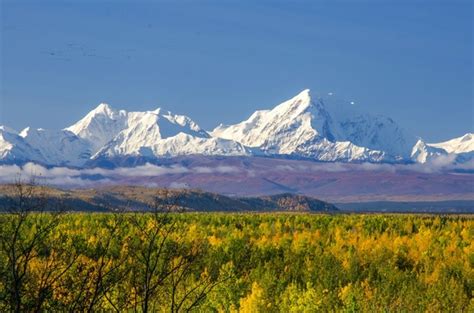 Interior Alaska Fall foliage - Photorator