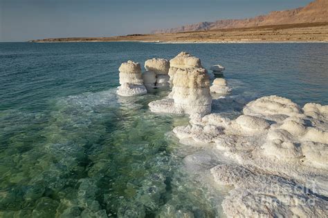 Salt formation,Dead Sea, Israel f7 Photograph by Dan Yeger - Pixels