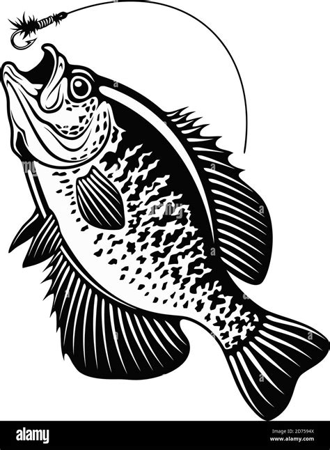 Crappie Fish Silhouette