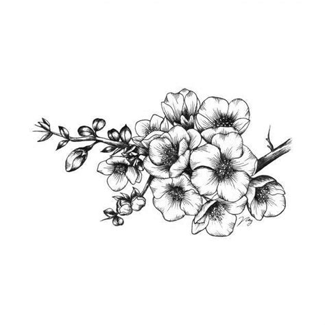 hawthorn flower tattoo designs - buddhaartdrawingpencileasy