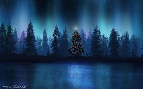 christmas trees at night | Winter scenes, Scene wallpaper, Winter scenery