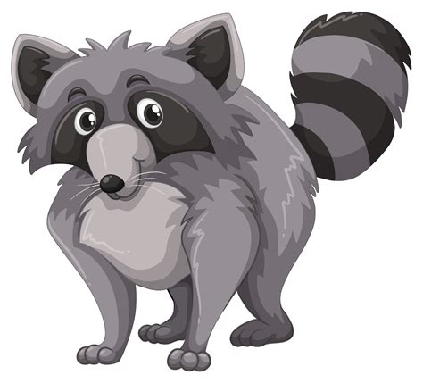 Raccoon Face Free Vector Art - (3328 Free Downloads)