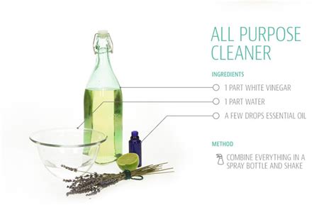 INFOGRAPHIC: A Guide to Natural, DIY Cleaning Products