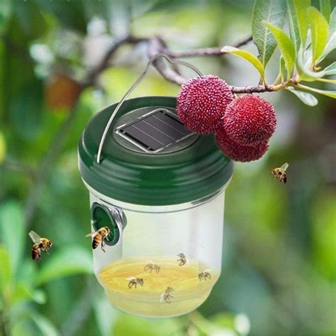 Solar Powered Wasp Fruit Fly Trap – pollyjoy