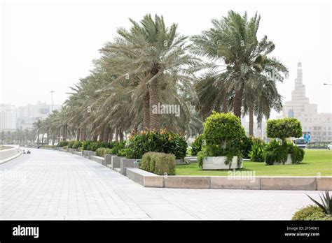 Corniche and Skyline, Doha, Qatar Stock Photo - Alamy