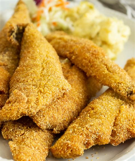 Deep Fried Fish Recipe Cornmeal | Dandk Organizer