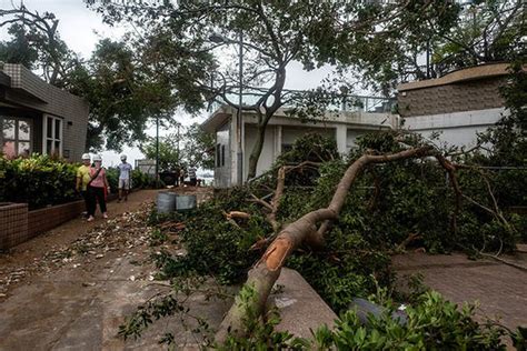 Hong Kong typhoon damage: Horror pictures as Hong Kong DESTROYED by Mangkhut | World | News ...