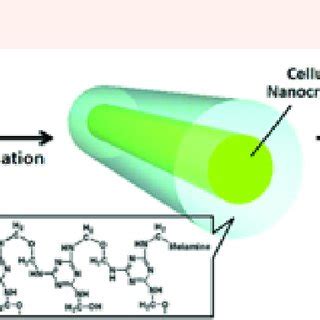 Schematic of 2-step synthesis of nitrogen-doped carbon Nanorods.... | Download Scientific Diagram