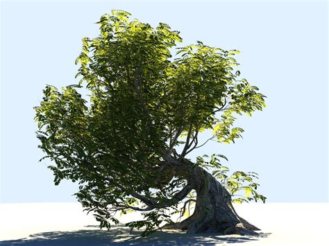 Tree Animated 3D Model $99 - .fbx .max .unknown - Free3D