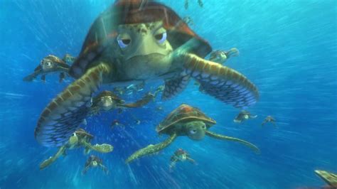 List of Species seen in Finding Nemo | Disney Animals Wiki | Fandom