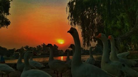 Karnal Lake - 2021 What to Know Before You Go (with Photos) - Tripadvisor