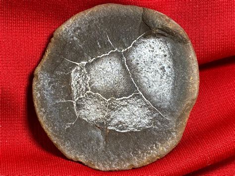 "Mazon Creek", Illinois jellyfish fossil. : r/fossils