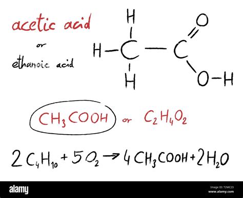 Acetic acid (ethanoic acid) - organic chemistry lesson Stock Vector ...