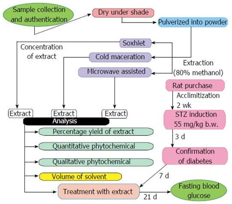 congeladas Recitar Coronel maceration extraction process pneumonia Enriquecimento Confiável