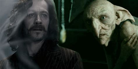 Sirius & Regulus Black’s Deaths In Harry Potter Have 1 Ironic Connection