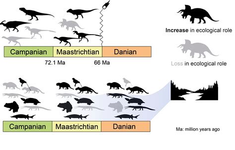 Study shows dinosaurs were 'struck down in their prime' by asteroid | Reuters