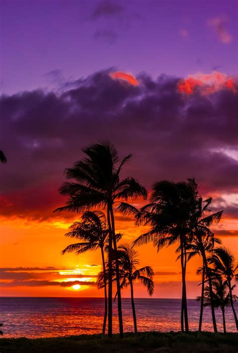 இனிமையான | Sunsets hawaii, Beautiful sunset, Hawaiian sunset