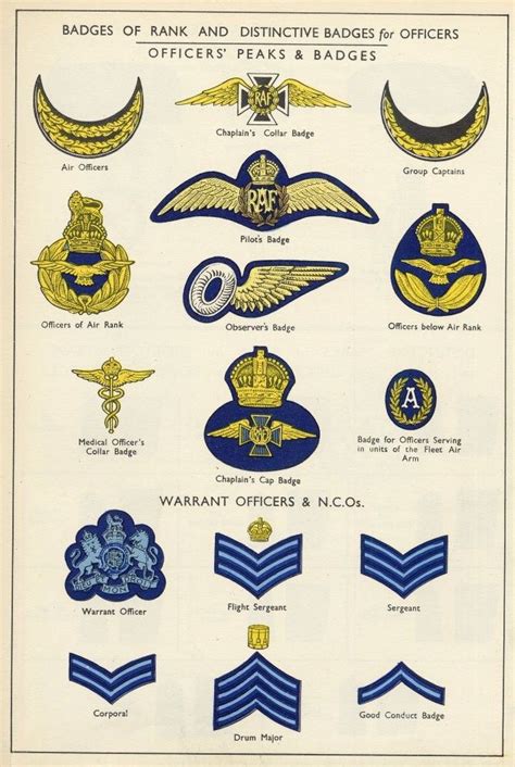 Raf Ranks Ww2 Ww2 Uniforms Pinterest | Images and Photos finder