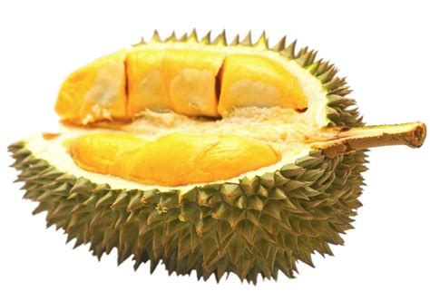 Half Durian Fruit transparent PNG - StickPNG