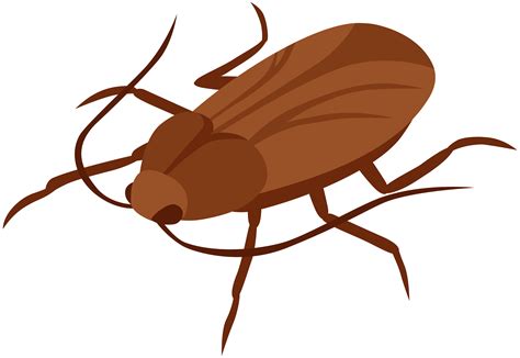 Cockroach PNG Clip Art - Best WEB Clipart