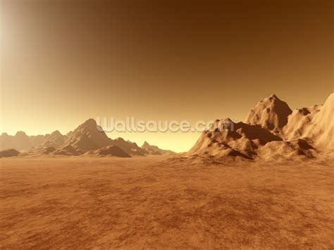 Mars Surface Wallpaper Mural | Wallsauce US