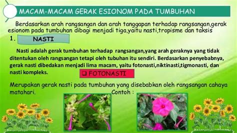 Sistem Gerak Pada Tumbuhan - Berbagi Informasi