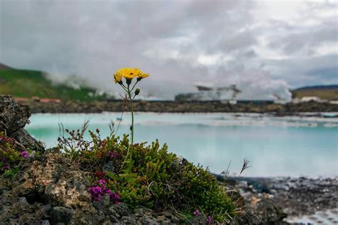 5 Things To Know Before Visiting Iceland In Spring - Follow Me Away