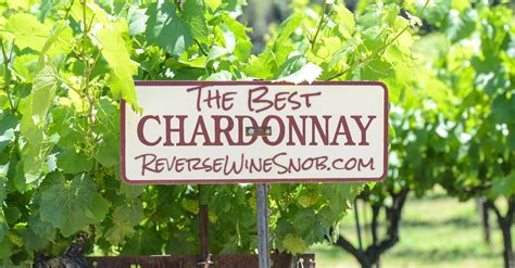 The Best Chardonnay - The Reverse Wine Snob Picks!