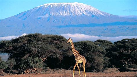 Kilimanjaro National Park, Tanzania ~ Must See how To?