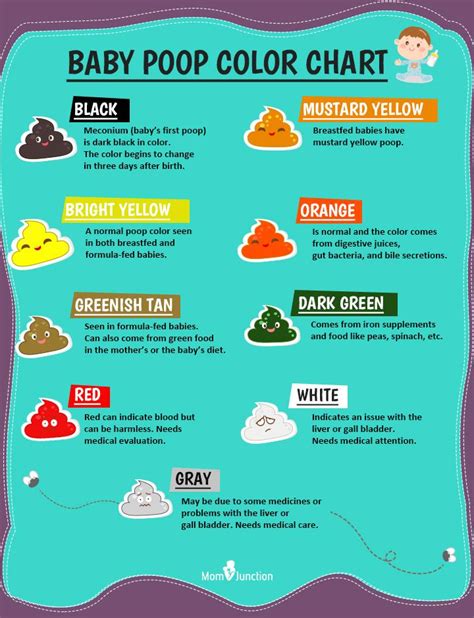 What does green color poop mean in babies – The Meaning Of Color