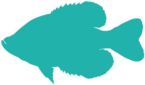 Flathead Catfish Silhouette | Free vector silhouettes