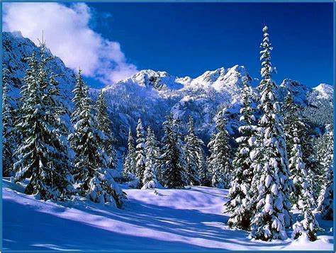 Winter Screensaver Images - Download-Screensavers.biz