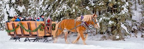 The Bar W Guest Ranch | Sleigh Rides | Whitefish, MT