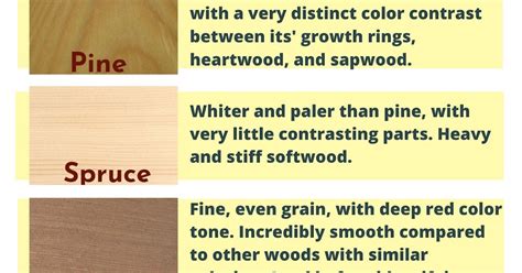 What Are Some Types Of Softwood - Hannah Thoma's Coloring Pages