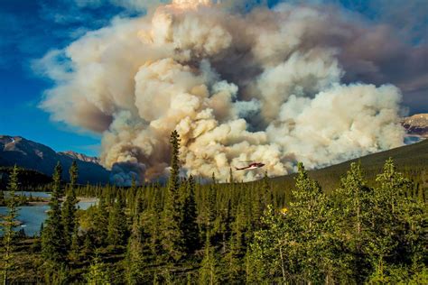 Big Canadian Forest Fires Past to Present – Brandon Pullan REALTOR® at RE/Max Alpine Realty