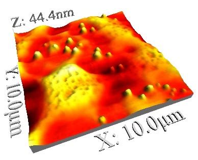 Polymer Blend - Nanonics Imaging