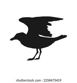 Silhouette Flying Seagulls Hand Drawn Illustration Stock Vector (Royalty Free) 2258473419 ...