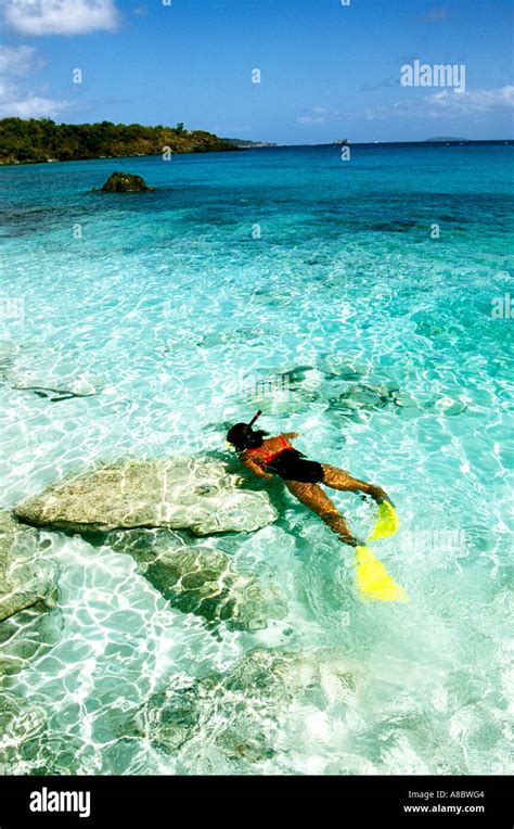 US Virgin Islands St John Trunk Bay Beach snorkeling snorkeler Stock Photo - Alamy