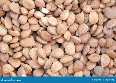 Almond seed stock image. Image of fruit, nuts, aliment - 27634923