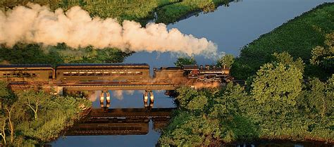 Connecticut Fall Foliage Train Tours for 2023