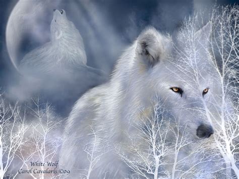 🔥 [120+] White Wolf Wallpapers | WallpaperSafari