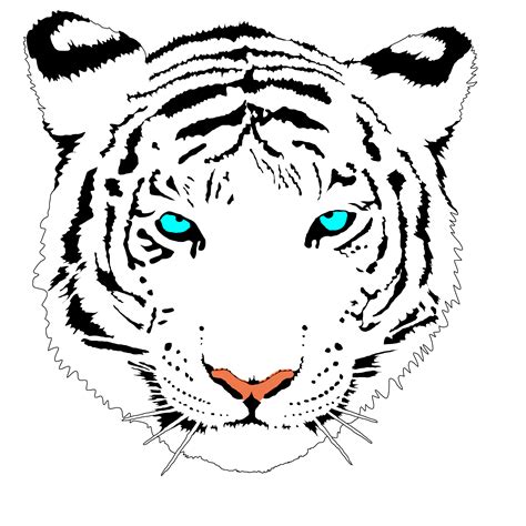 Bengal Tiger (white) Clip Art at Clker.com - vector clip art online, royalty free & public domain