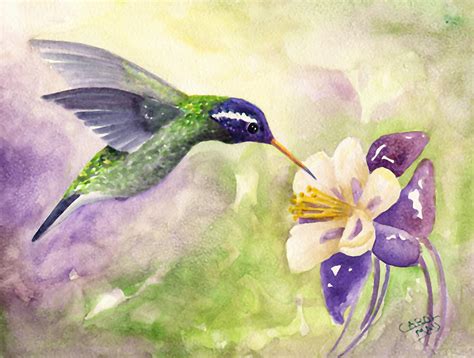 White-eared Hummingbird Painting by Art by Carol May - Pixels