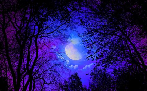 Dark Forest With Moon Wallpapers - Wallpaper Cave