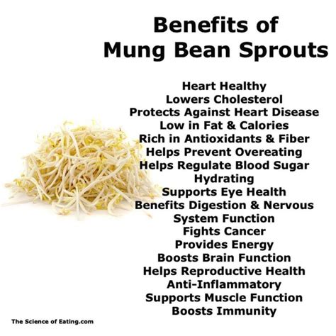 mung bean sprouts health benefits