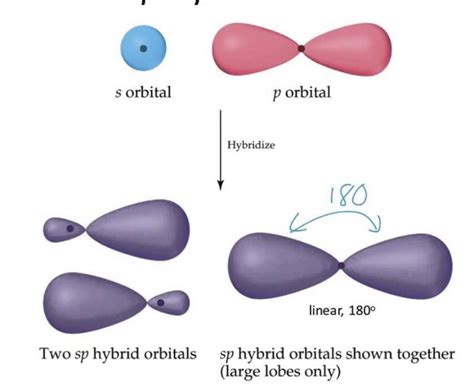 Hybridisation - Chemical Bonding and Molecular Structure, Chemistry, Class 11