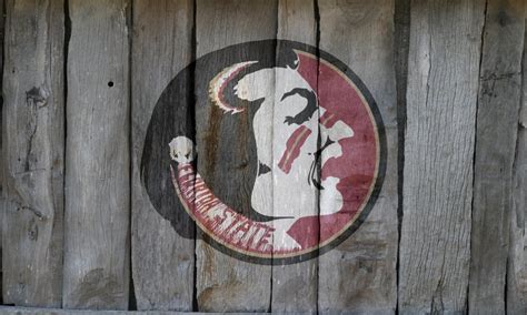 HD FSU Wallpaper - WallpaperSafari