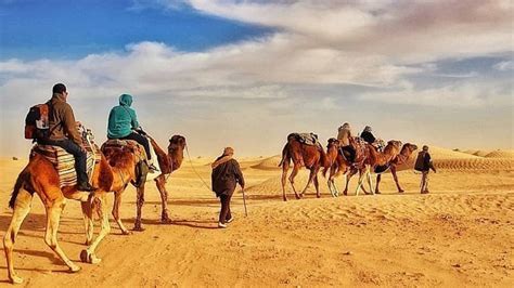 Your Ultimate Guide To The Desert in Tunisia - The Sahara You want To Explore - WildyNess