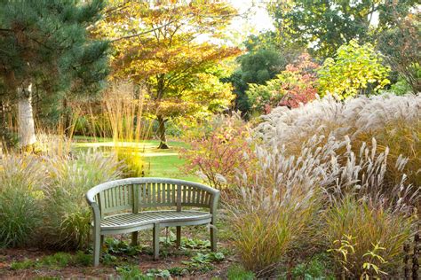 How To Care for Ornamental Grass - This Old House